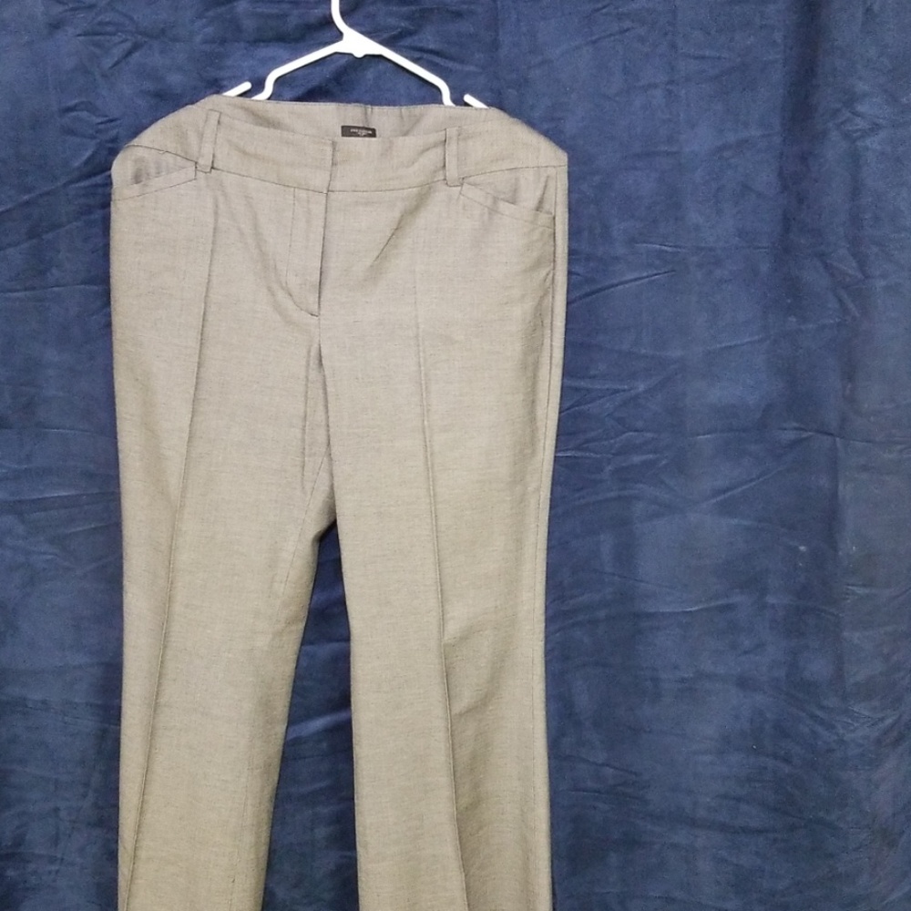 Ann Taylor dress pants